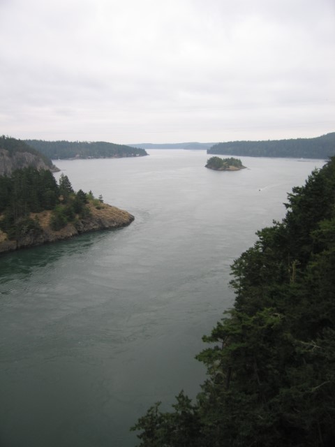 IMG_3301.JPG