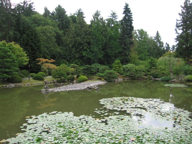 IMG_3420.JPG