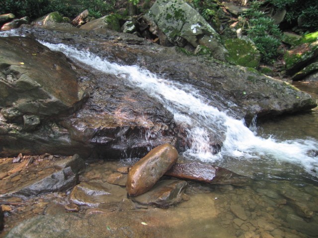 IMG_1815.JPG