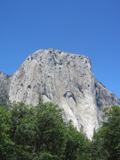 IMG_0347.JPG