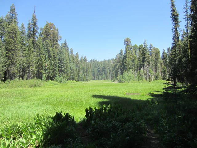 IMG_0555.JPG